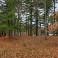 Around the picnic area at Hartman Creek State Park, Wisconsin