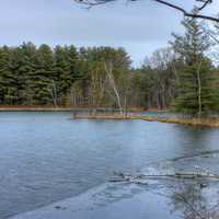 Shoreline of the Lake at Hartman Creek State Park, Wisconsin