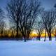 Dusk beyond the trees at High Cliff State Park, Wisconsin