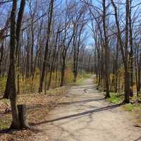 The Hiking Trail at High Cliff State Park, Wisconsin