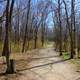 The Hiking Trail at High Cliff State Park, Wisconsin