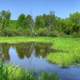 Landscape and Pond at Hoffman Hills State Recreation Area, Wisconsin