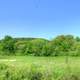 Trees and landscape at Hoffman Hills State Recreation Area, Wisconsin