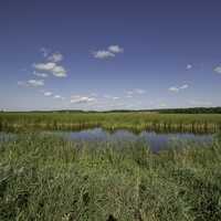 Marsh Pond, landscape, and visitor's center in the distance at Horicon Marsh