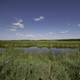 Marsh Pond, landscape, and visitor's center in the distance at Horicon Marsh