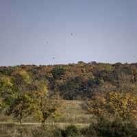 Autumn trees under sky at Horicon Marsh