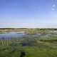 Beautiful Swamp landscape at Horicon Marsh