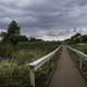 Boardwalk Walkway at Horicon Marsh