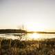 Bright Sunset over the pond at Horicon Marsh