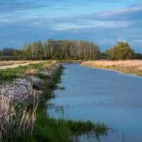 Channel at Horicon Marsh