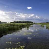 Channel landscape in Horicon Marsh