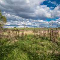 Clouds over the Marsh Landscape