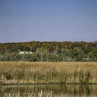 Far off landscape with autumn tree colors across a pond