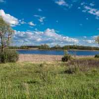 Landscape of the Marsh