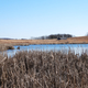 Landscape with Small House in distance across the pond