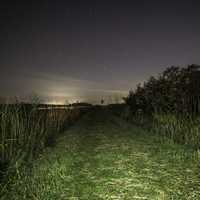 Night Time Hiking Trail with Starry Sky at Horicon Marsh