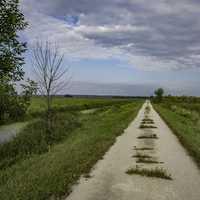 Old Marsh Road landscape under the sky