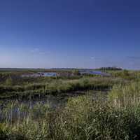 Overlook landscape at Horizon Marsh, Wisconsin