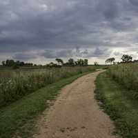 Path through the tall grass at Horicon Marsh