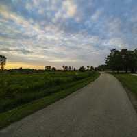 Roadway through the Marsh at Dusk