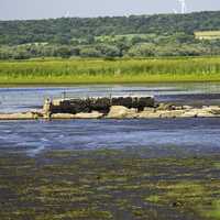 Ruined buildings in the Swamp