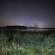 Stars over the tree and pond at night in Horicon Marsh