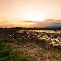 Sunset landscape colors over the Marsh