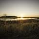 Sunset Landscape over Horicon Marsh