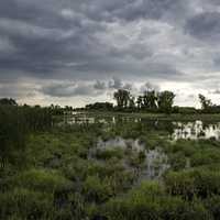 Watery Marsh Landscape Under the Clouds