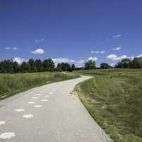 White Paw Paint on the road leading into the Visitor's Center