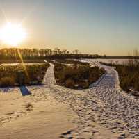 Late Afternoon Sun over the reserve at Horicon National Wildlife Reserve, Wisconsin