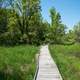 Boardwalk on the trail