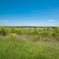 Landscape and Horizon