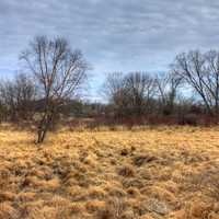 Fields and Trees on the Ice Age Trail, Wisconsin