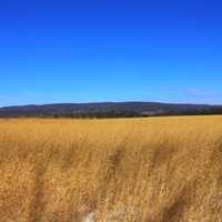 Hills in the distance on the Ice Age Trail, Wisconsin