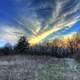 Last Wisps of day on the Ice Age Trail, Wisconsin