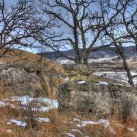 Rocks, trees, and brush on the Ice Age Trail, Wisconsin