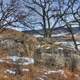 Rocks, trees, and brush on the Ice Age Trail, Wisconsin