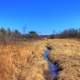 Stream through the fields on the Ice Age Trail, Wisconsin