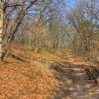 The Path of the Trail on the Ice Age Trail, Wisconsin