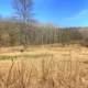 Trees, forests, and landscape on the Ice Age Trail, Wisconsin