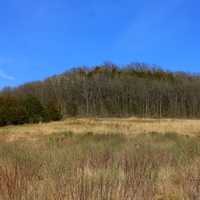 Trees in the distance on the Ice Age Trail, Wisconsin