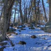 Up the hill on the Ice Age Trail, Wisconsin