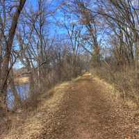 Wooded Trail Path on the Ice Age Trail, Wisconsin