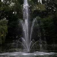 Close up of sprouting fountain in the pond