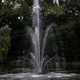 Close up of sprouting fountain in the pond