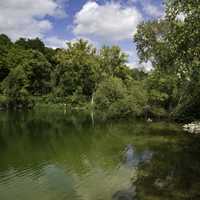 Lakeshore, green water, trees, and nature