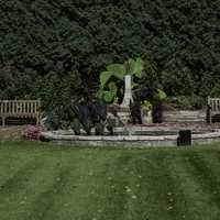 Lawn, plants, pond, and landscape free image