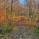 Colorful hiking trail at Kettle Moraine North, Wisconsin