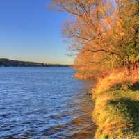 Lakeshore and trees at Kettle Moraine North, Wisconsin